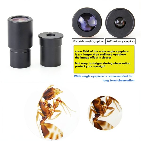 Thincol 10X Wide-Angle Eyepiece Microscope Lens-1